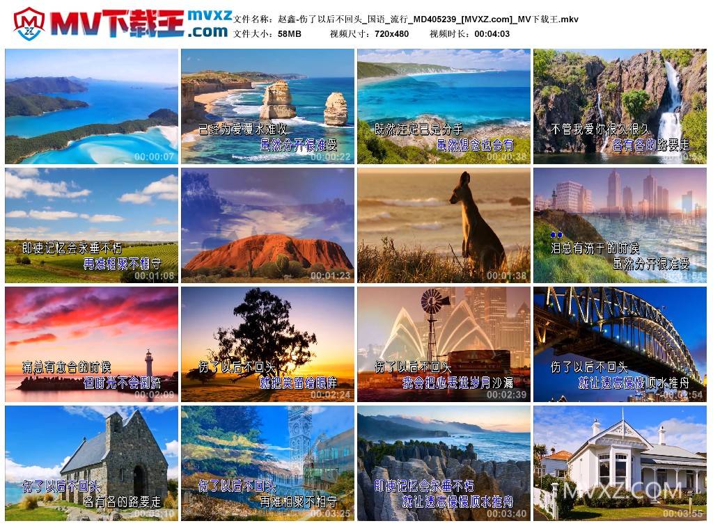 赵鑫-伤了以后不回头_国语_流行_MD405239